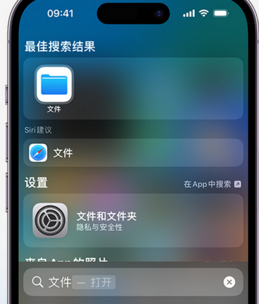 柳林apple维修中心分享iPhone文件应用中存储和找到下载文件 