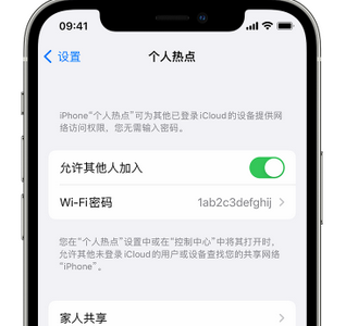 柳林apple服务站点分享iPhone上个人热点丢失了怎么办 