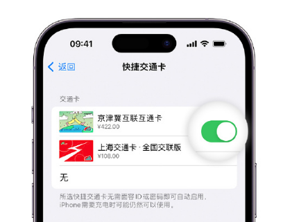 柳林apple维修点分享iPhone上更换Apple Pay快捷交通卡手绘卡面 