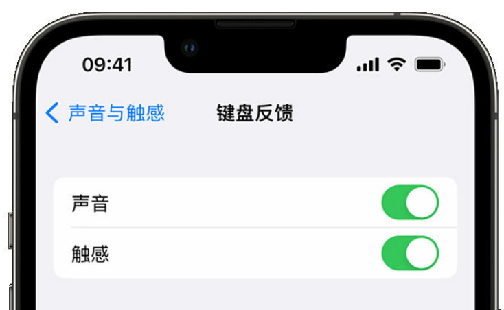 柳林苹果手机维修分享iPhone 14触感键盘使用方法 