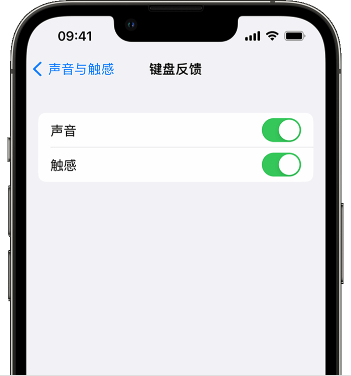 柳林苹果14维修店分享如何在 iPhone 14 机型中使用触感键盘 