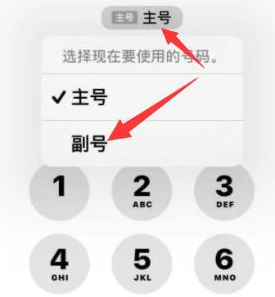 柳林苹果14维修店分享iPhone 14 Pro Max使用副卡打电话的方法 