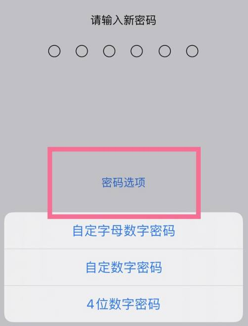 柳林苹果14维修分享iPhone 14plus设置密码的方法 