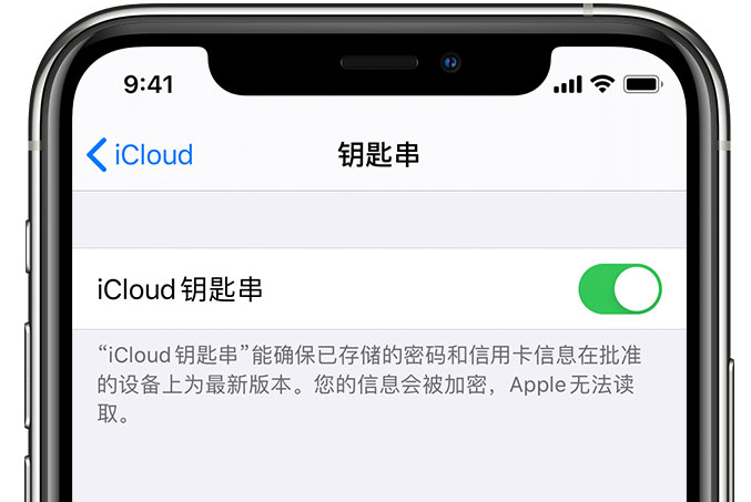 柳林苹果手机维修分享在 iPhone 上开启 iCloud 钥匙串之后会储存哪些信息 