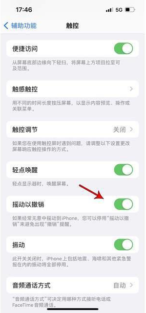 柳林苹果手机维修分享iPhone手机如何设置摇一摇删除文字 